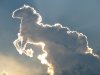 cumulus-clouds-animal-horse-funny.jpg